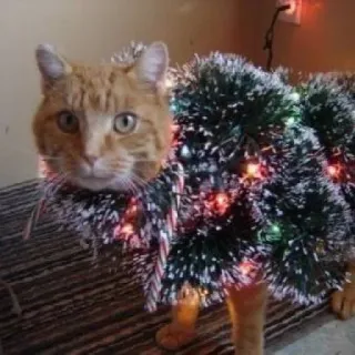 🤩 cat, christmas, christmas lights, orange cat, tinsel, cute, funny telegram sticker