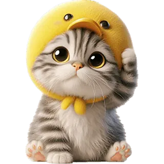 🫡 cat, kitten, cute, animal, domestic, pet, yellow, duck, hat whatsapp sticker