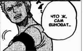 😑 Zoro One Piece ЧТО Ж, САМ ВИНОВАТ... Anime, Manga, One Piece, Zoro, Postać telegram sticker