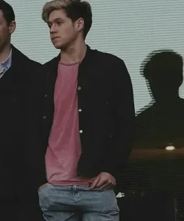 🥀 Niall Horan Niall Horan, singer, One Direction, musician, celebrity telegram sticker