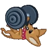 💪