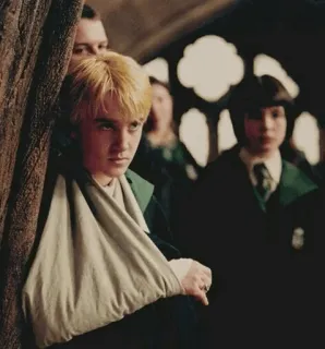 🐾 Draco Malfoy Harry Potter 드레이코 말포이, 해리 포터, 톰 펠튼, 슬리데린, 마법사, 부상 telegram sticker