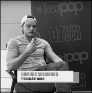 🍺 Dominic Sherwood DOMINIC SHERWOOD
@domsherwood ator, celebridade, pessoa, perfil, retrato telegram sticker