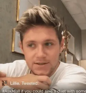 🎸 Niall #AskNiall Niall Horan, cantor, celebridade, pergunta de fã, PergunteNiall telegram sticker