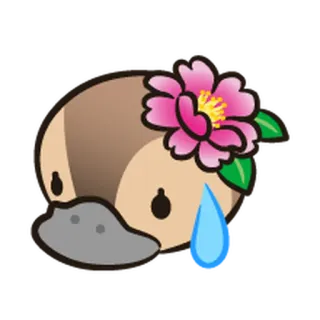 😥 platipus, bunga, imut, stiker, hewan telegram sticker