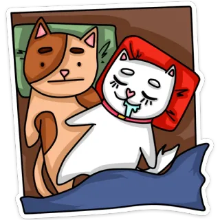 😐 коты, спящий, кровать, милый, животные, стикер whatsapp sticker