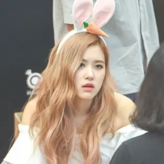 🐰 роза, K-pop, кролик, уши, женщина, морковь, розовые волосы telegram sticker