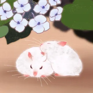 🐹 hamster, cute, animal, rodent, white, pet telegram sticker