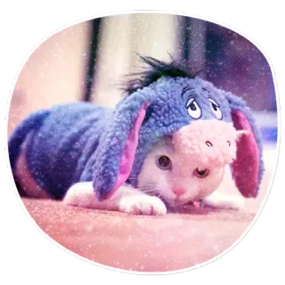 🙁 Eeyore Winnie the Pooh cat, Eeyore, Winnie the Pooh, animal, cute, cartoon telegram sticker