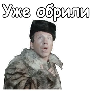 😵 Уже обрили russian, fur, winter, cold telegram sticker