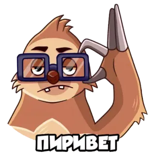🙋 ПРИВЕТ con lười, xin chào, hoạt hình, kính, động vật telegram sticker