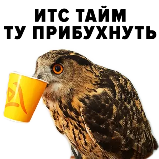 🍺 Eule, Vogel, Tier, Kaffee, Tasse, Getränk telegram sticker