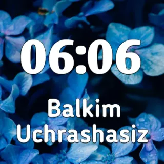 🔐 06:06
Balkim
Uchrashasiz Blumen, 06:06, Text, Digitaluhr, Vielleicht, Du wirst jemanden treffen whatsapp sticker