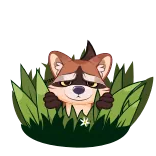 😶 Waschbär, Gras, Cartoon, Tier, süß whatsapp sticker