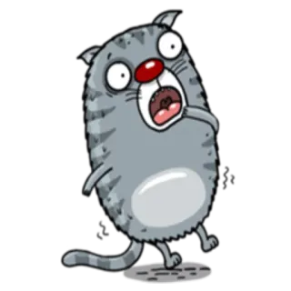 😨 고양이, 만화, 충격, 놀람, 동물, 귀여운 telegram sticker