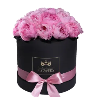 🌸 MAFIA FLOWERS ดอกไม้, ดอกโบตั๋น, กล่องดอกไม้, ของขวัญ, สีชมพู, สีดำ, การจัดดอกไม้, หรูหรา whatsapp sticker