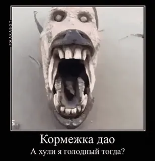 🐠 Кормежка дао
А хули я голодный тогда? 개, 동물, 공포, 소름, 어둠 telegram sticker