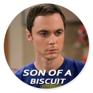 😤 SON OF A BISCUIT hijo de galleta, grosería, insulto whatsapp sticker