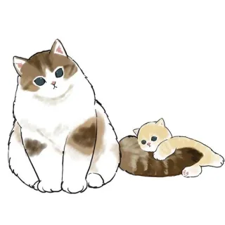 💗 kot, kociak, słodki, zwierzę domowe, zwierzęta, domowy, kotowaty, ssak telegram sticker