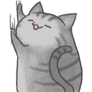😛 kat, middelvinger, onbeschoft, beledigend, gebaar, sticker whatsapp sticker