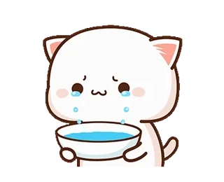 😭 gatto, piangendo, kawaii, triste, carino, lacrimoso, ciotola, emotivo telegram sticker