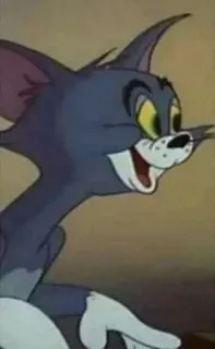 🎩 Tom Cat Tom and Jerry Cartoon, Kat, Dier, Grappig, Geanimeerd, Personage whatsapp sticker