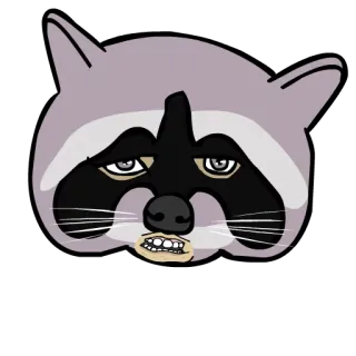 🐾 raccoon, animal, cartoon, funny, creature telegram sticker