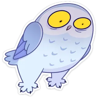 😳 gufo, cartone animato, animale, adesivo, carino, uccello telegram sticker
