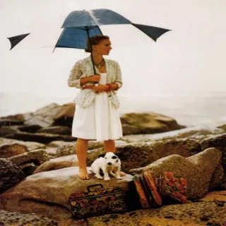 🐶 femme, plage, chien, pluie, parapluie, voyage, mode telegram sticker