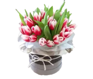 💐 цветы, тюльпаны, букет, композиция, цветочный, подарок whatsapp sticker