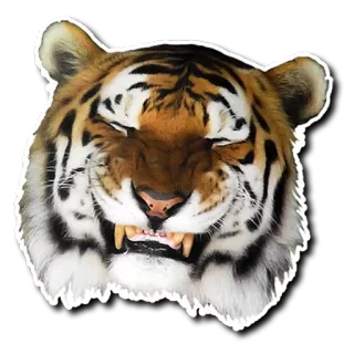 Derptacular Felines whatsapp stickers