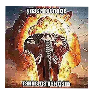 🖼 упаси господь такое да увидать telegram sticker