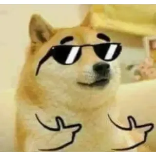 🤘 Doge doge, pies, mem, fajny, okulary telegram sticker