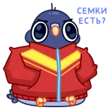 🤨 telegram sticker