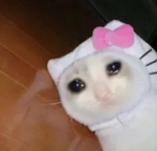 🥺 Hello Kitty kucing, sedih, meme, Hello Kitty, binatang, lucu, hewan peliharaan telegram sticker