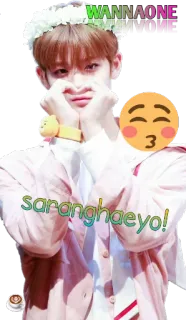 wannaone whatsapp stickers