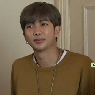 🎋 RM RM, K-pop, BTS, Kim Namjoon, singer, idol, music telegram sticker