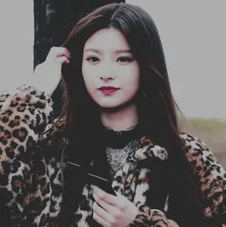 💎 donna, stampa leopardata, giacca, moda, asiatica telegram sticker