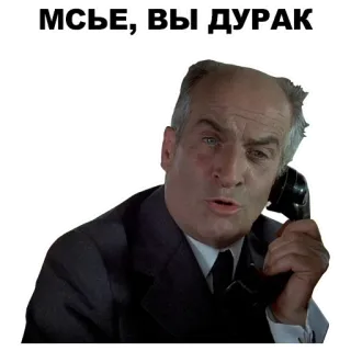 👋 МСЬЕ, ВЫ ДУРАК оскорбление, русский, мем, мужчина, телефон whatsapp sticker
