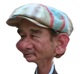😀 мужчина, шляпа, карикатура, портрет, человек, лицо telegram sticker