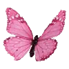 @S_H_S58 :: @fStikBot telegram emojis 🦋