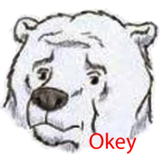 😔 Okey urso, desenho animado, animal, urso branco telegram sticker