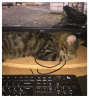 😴 gato, computador, jogos, malhado, teclado, monitor telegram sticker