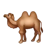 🐫