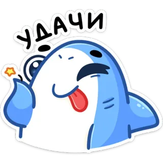 😉 Удачи tubarão, desenho animado, engraçado, fofo, boa sorte, russo telegram sticker