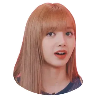 😲 Lisa kpop, 가수, 여자, 유명인, 리사, blackpink telegram sticker