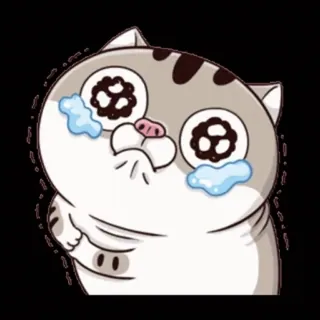 🥺 mèo, khóc, buồn, nước mắt, hoạt hình, nhãn dán whatsapp sticker
