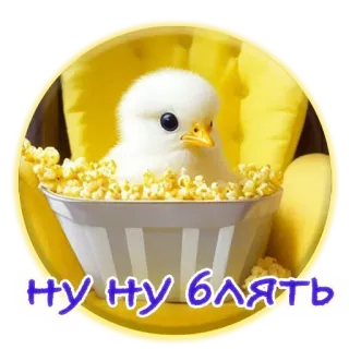😇 НУ НУ БЛЯТЬ цыпленок, птица, попкорн, милый, ругательство telegram sticker