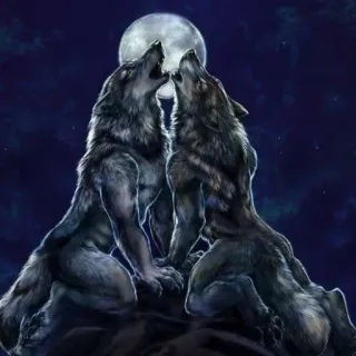 😭 loup, hurlant, lune, nuit, animal, loup-garou telegram sticker