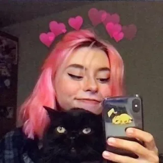 💓 selfie, woman, cat, hearts, pink hair telegram sticker